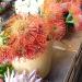 Proteas marché de Funchal Madère