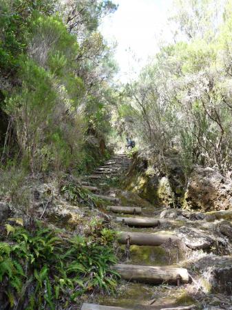 Chemin marches en bois et terre glissante Madère