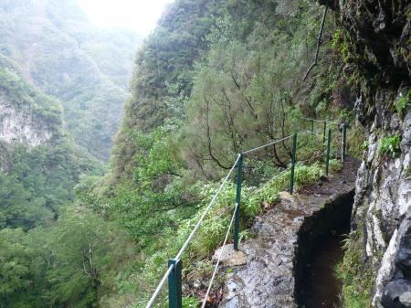 Madère forêt primaire et levada