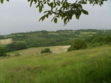 Paysage du Lot et Garonne : prairies