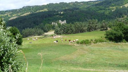 Lozère nord