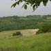 Paysage du Lot et Garonne : prairies