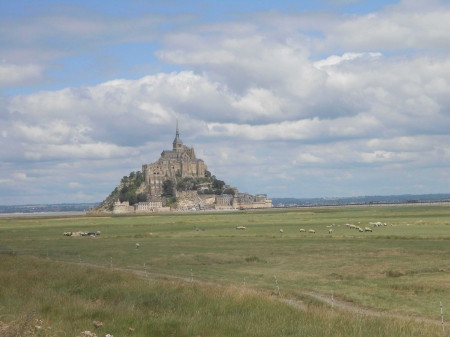 le Mont Saint Michel, les prés salés et les mouton