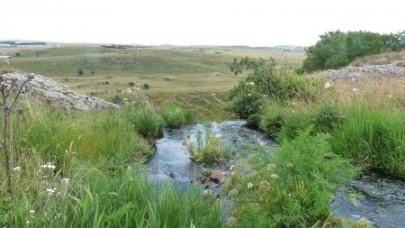 Ruisseau en Aubrac