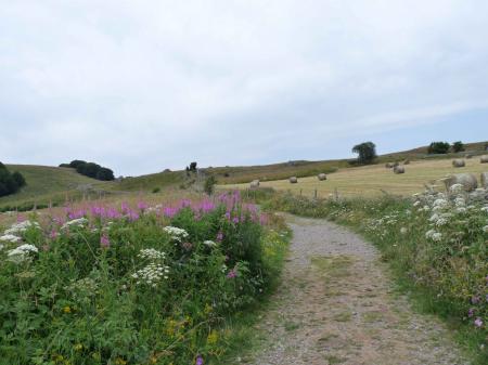 Aubrac (Lozère)