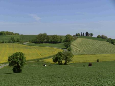 Paysage agricole du département du Tarn