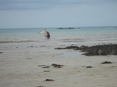 pêcheur de crevettes