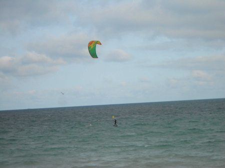 kitesurfeur et goéland